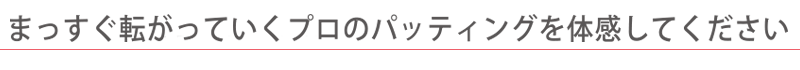 パター練習器具 ザ・レール